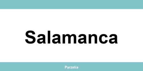 Teléfono de la oficina de Zeleris en Salamanca